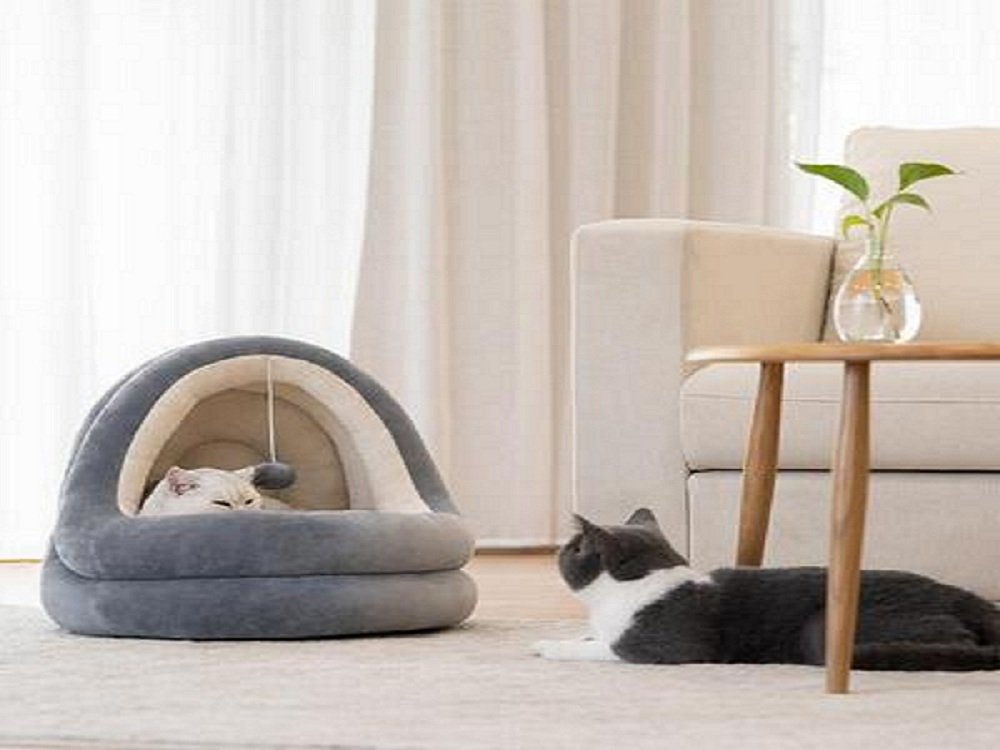 Cat Beds