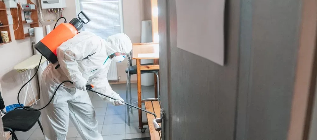 Pest Control in Surrey