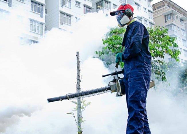 Edmonton pest control