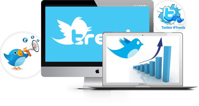 Twitter Marketing Services