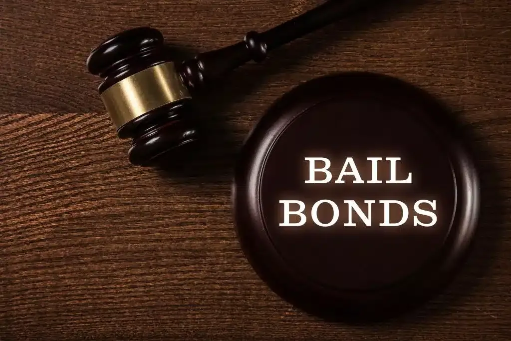 free bird bail bonds